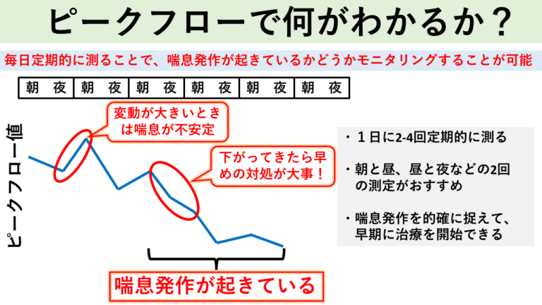 ピークフローで何がわかるか？