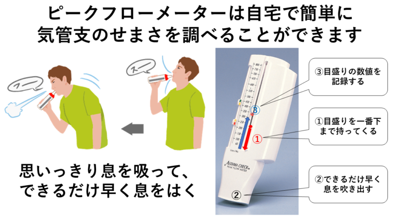 ピークフローメーター