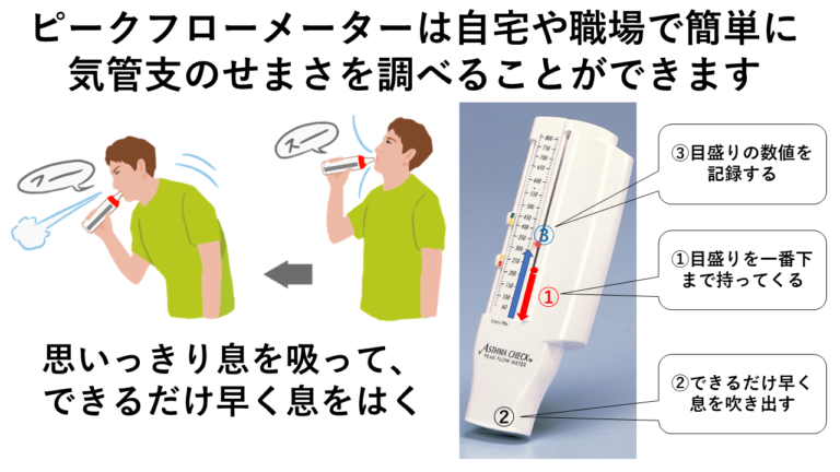 ピークフローメーター