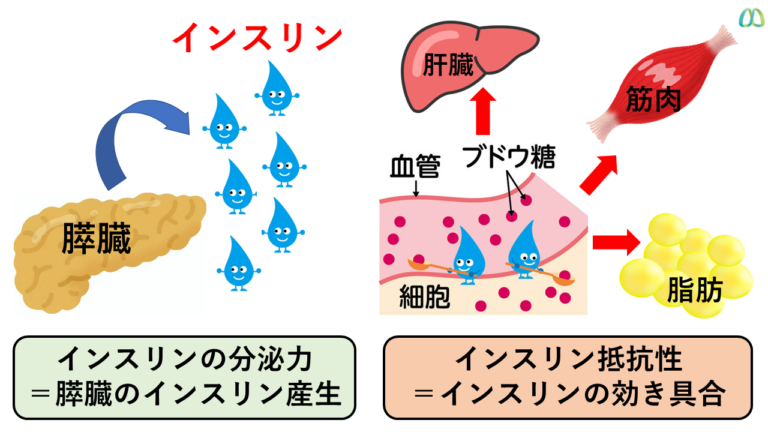 インスリン