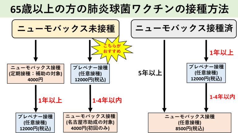 65歳以上の方の肺炎球菌ワクチンの接種方法