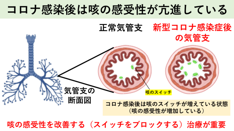 咳の感受性が亢進