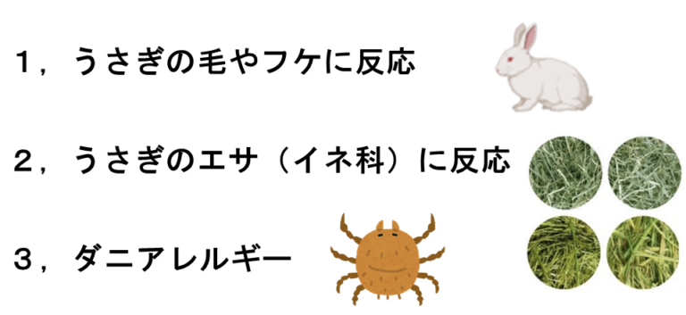 うさぎアレルギー