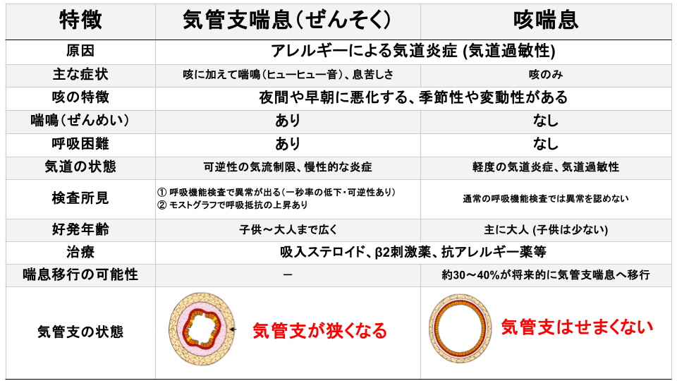咳喘息と気管支喘息って何が違うの？